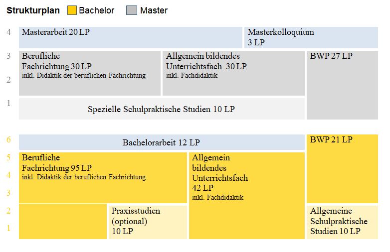 Strukturplan des Studiums